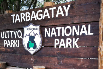 Брат руководителя нацпарка Тарбагатай 4 года незаконно получал зарплату лесничего