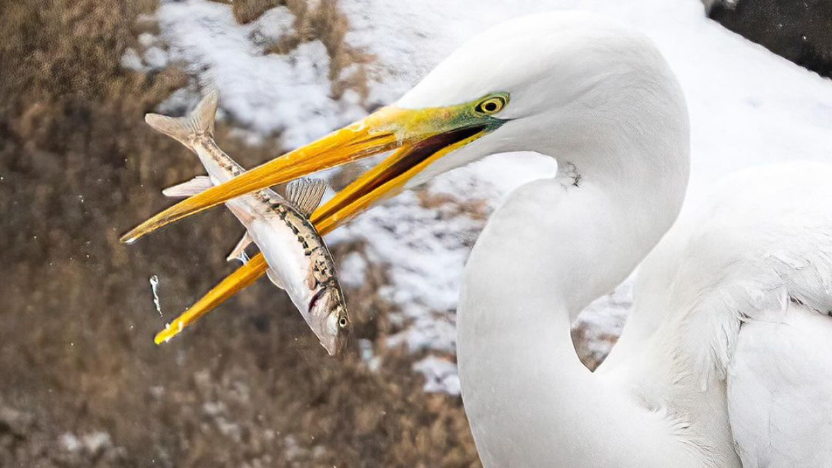 instagram.com/dots_foto