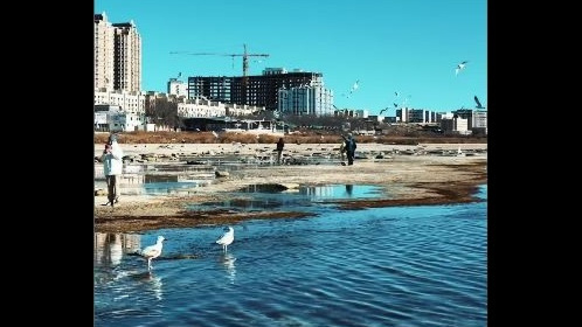 стоп-кадр из видео/ instagram.com/nurkentazhibay