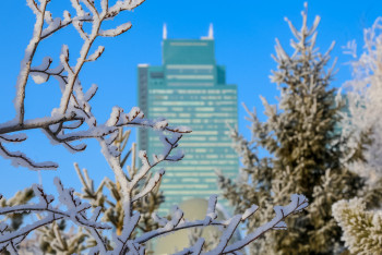 Фотография к новости: Какими будут последние дни зимы в Казахстане,  рассказали синоптики