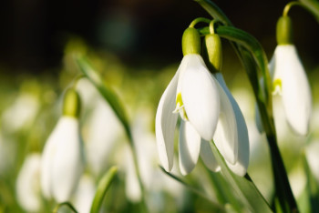 Фотография к новости: Прогноз погоды на март представили синоптики в Казахстане