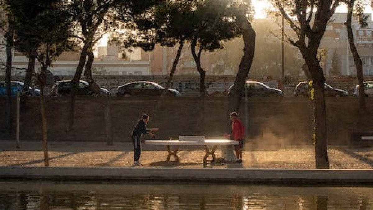 pexels.com / иллюстративное