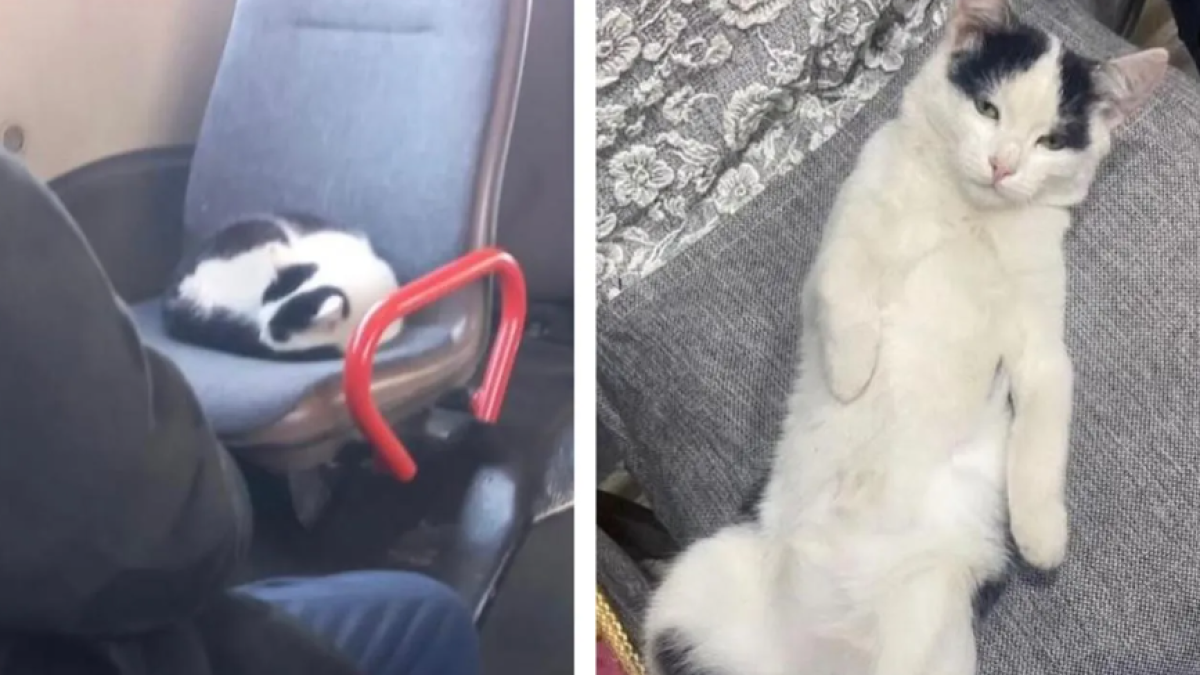 zhaloby_uralska_official