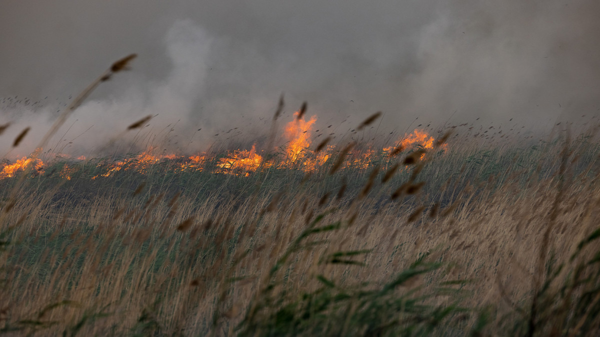Артём Чурсинов/BaigeNews.kz