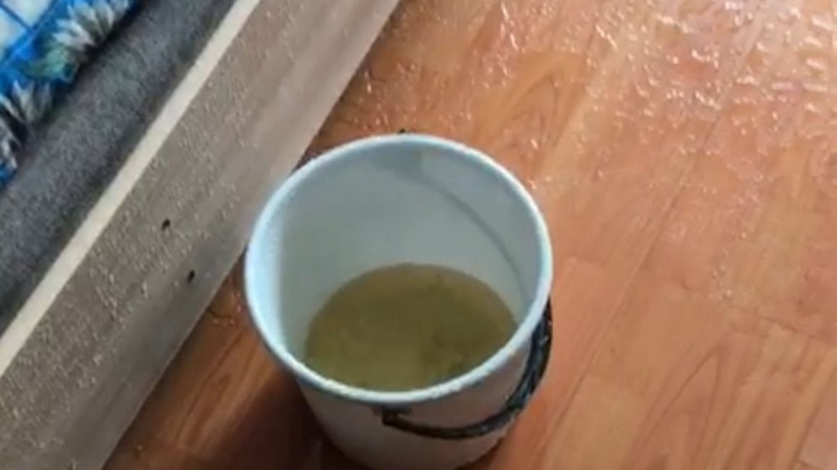 стоп кадр из видео Жанната Картамысова