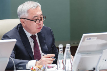 Фотография к новости: Совет ЕЭК разрешил беспошлинный ввоз ряда товаров в Казахстан