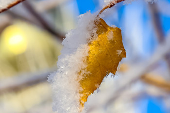 Повышенное загрязнение воздуха прогнозируют в четырёх городах Казахстана