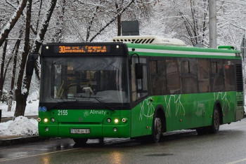 Автобус с пассажирами попал в ДТП в Алматы