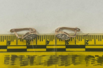 Фотография к новости: Серьги с двухлетней девочки тайком сняла жительница Туркестанской области