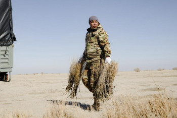 Фотография к новости: Волонтёры посадили 5100 саженцев саксаула на дне Арала