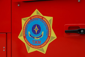 Фотография к новости: Двух детей спасли от пожара огнеборцы в Жетысу