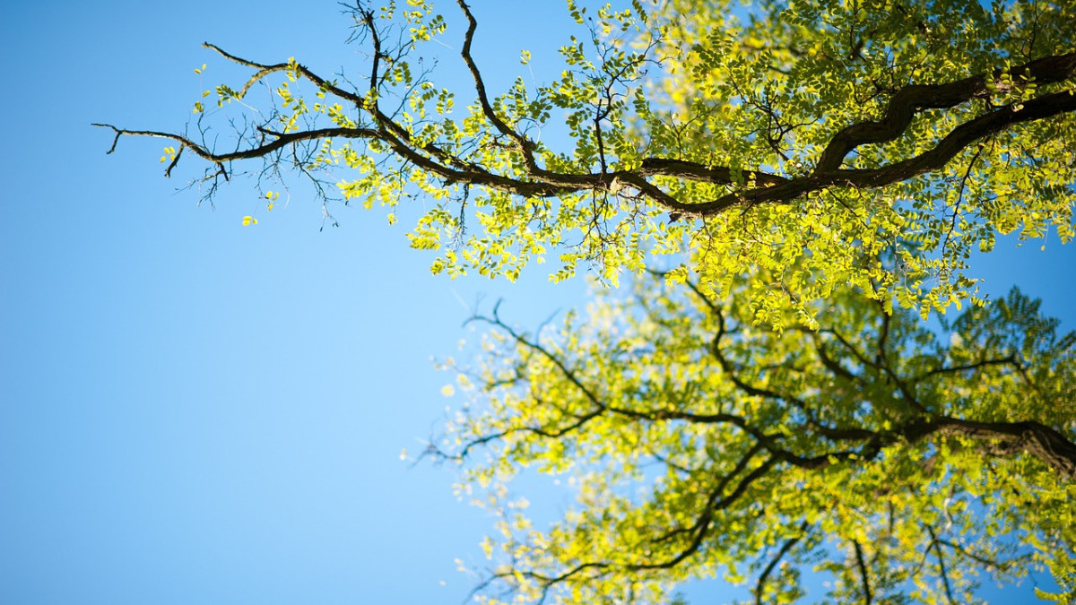 pixabay / иллюстративное фото