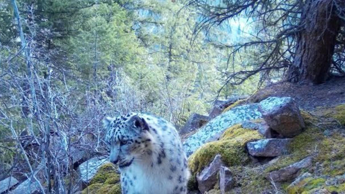 Минэкологии РК