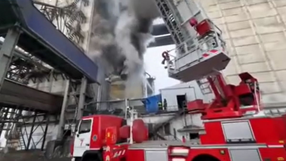 скриншот с видео