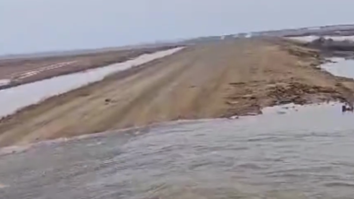 скриншот с видео