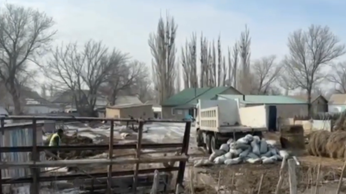 скриншот с видео