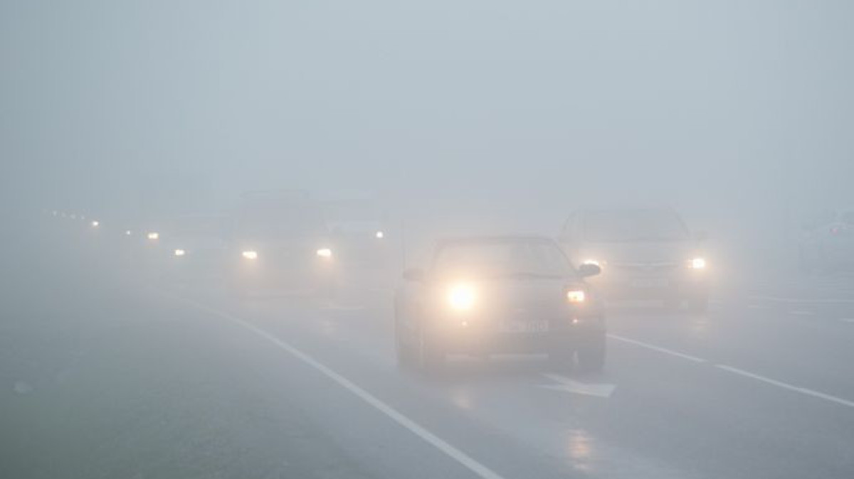 prognoz.postimees.ee