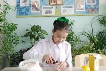 Фотография к новости: Духи с необычным ароматом придумала школьница в Акмолинской области