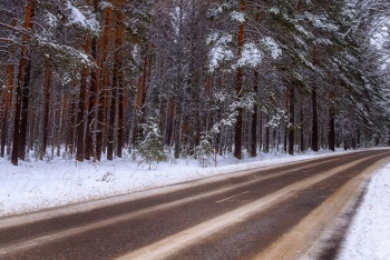 Тело молодой россиянки обнаружили в Щучинске