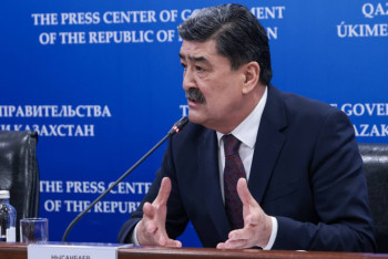 Фотография к новости: Проблему нужно решать - Минэкологии об эвтаназии бродячих собак