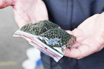 Фотография к новости: В Мажилисе потребовали принять меры в отношении продавцов насвая