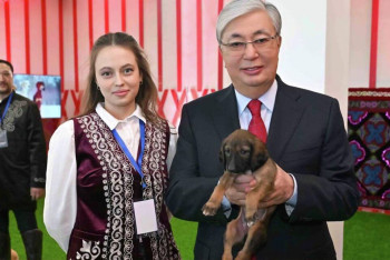 Три чистокровных тазы находятся на попечении у Токаева - Акорда