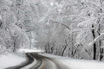 Фотография к новости: Проезд по одной из дорог закрыли близ Алматы из-за снегопада