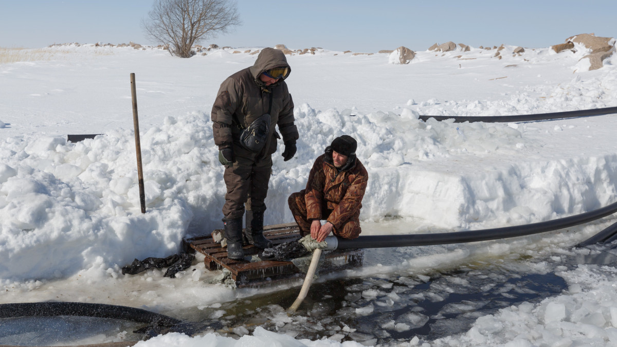 baigenews.kz/Артём Чурсинов