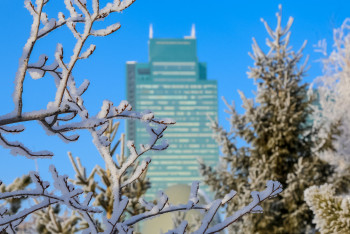 До 20 градусов потеплеет в Казахстане в ближайшие дни