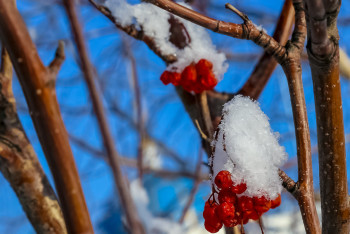 Меньше гулять в субботу рекомендуют жителям Алматы и Актобе