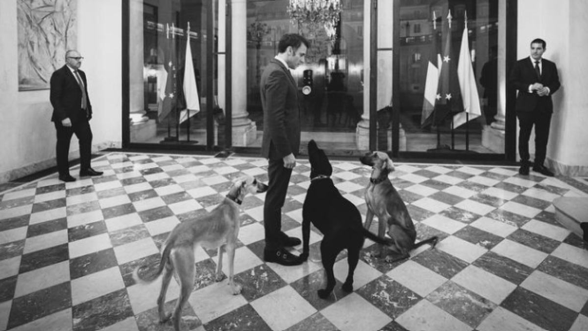 instagram.com/soazigdelamoissonniere