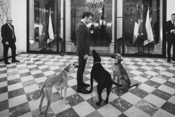 Макрона сфотографировали с казахскими тазы в Елисейском дворце