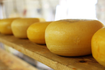 Возможность производства сыра и икры в Казахстане рассмотрят итальянские инвесторы