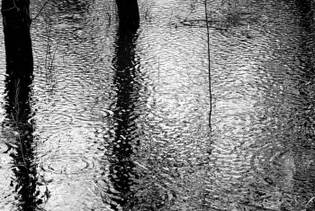 В ДЧС Алматы сделали предупреждение для горожан