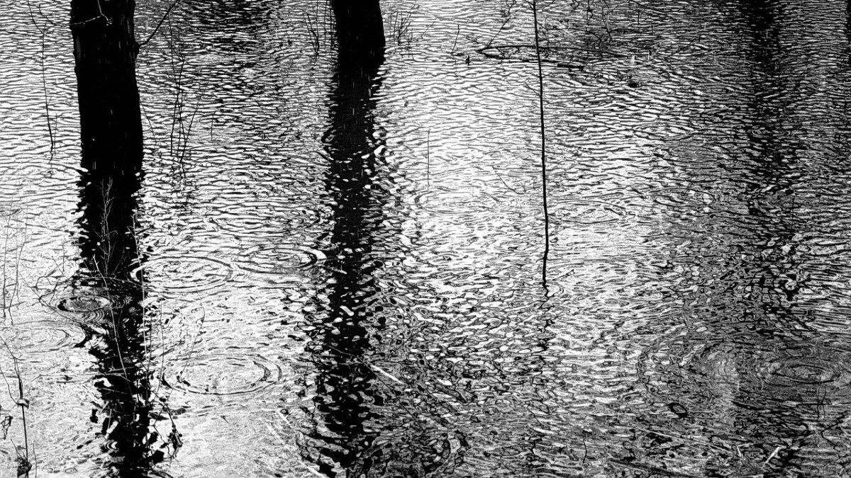 pixabay / иллюстративное фото