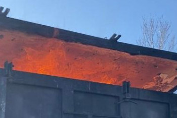 Фотография к новости: Опасные растения пытались ввезти в Астану