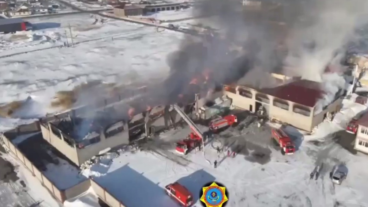 скриншот видео