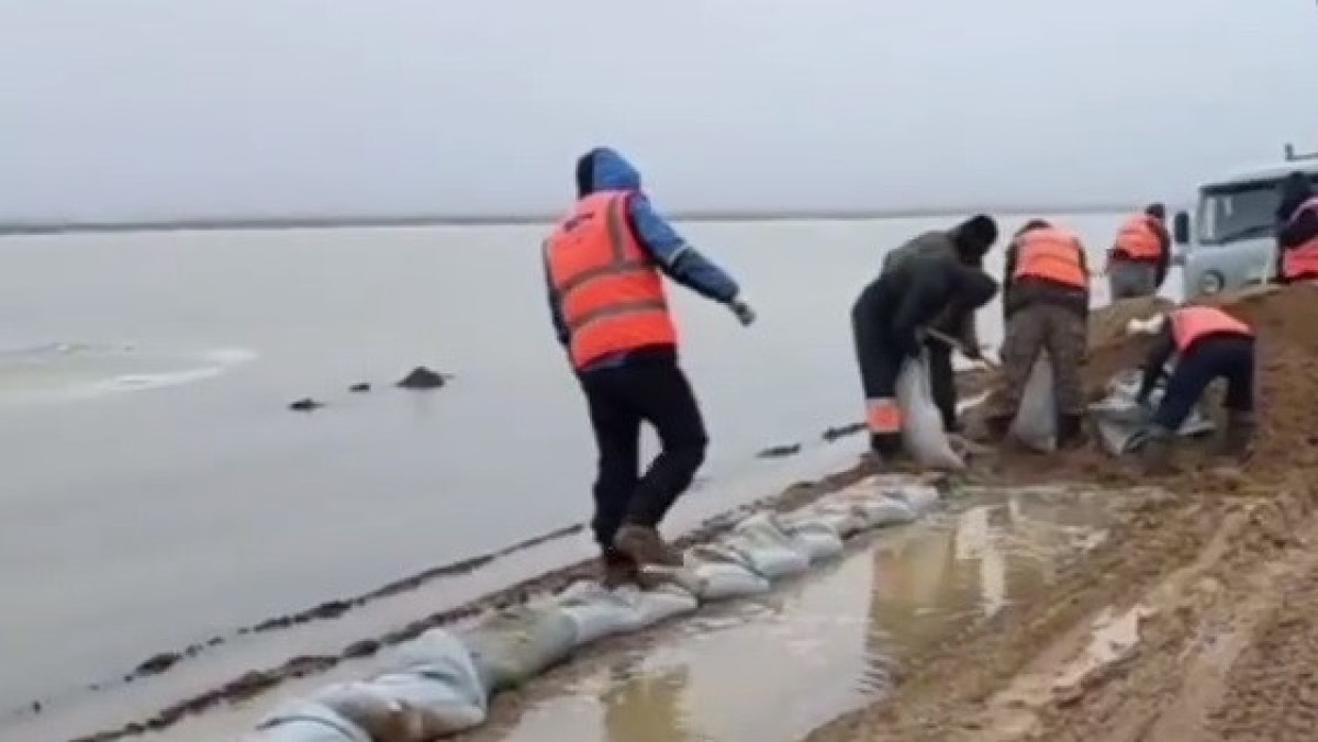 скриншот видео