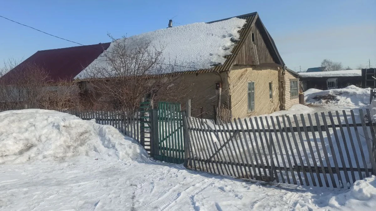 Наталья Волкова.