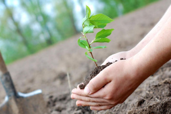 Фотография к новости: 19 марта казахстанцы отмечают Жаңару күні