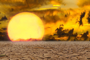 2024 год может стать самым горячим в истории