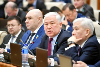 Фотография к новости: Отдельное наказание за кражу невест предложили ввести в Казахстане