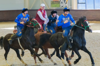 Сколько казахстанцев занимаются национальными видами спорта
