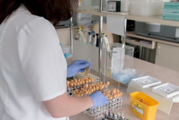 Медикам Костаная перестали платить надбавки за квалификацию