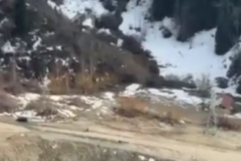 В горах Алматы ищут потерявшихся туристов