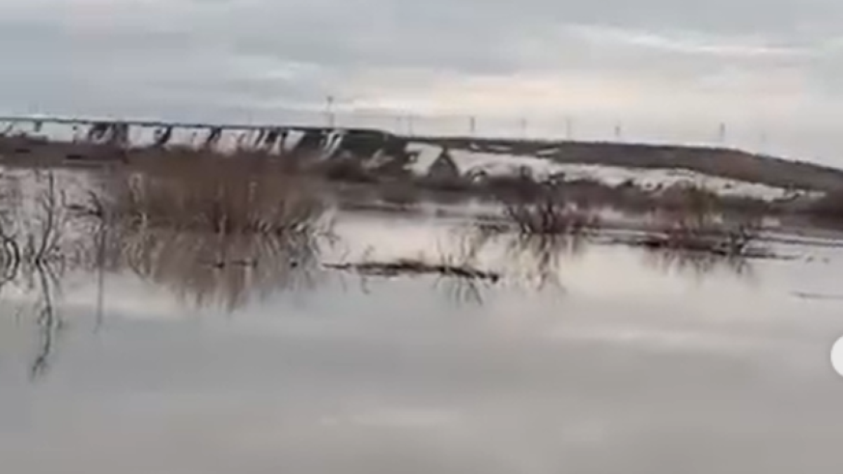 скриншот с видео