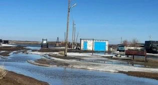 Защитная дамба не спасла от подтоплений жителей области Улытау