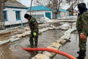 Потоп в селе: обвинения в бездействии опровергли в ДЧС Абайской области
