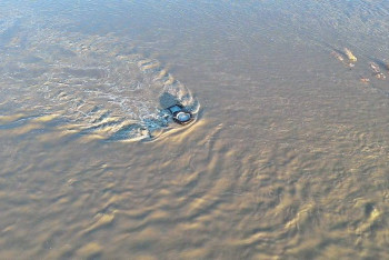 ЧС местного масштаба из-за паводка объявили в Аягозском районе области Абай