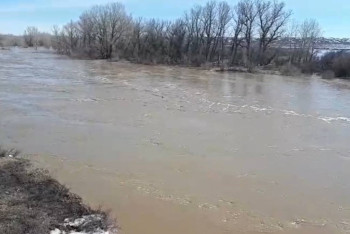 Подтопления в области Абай: обстановка стабильная